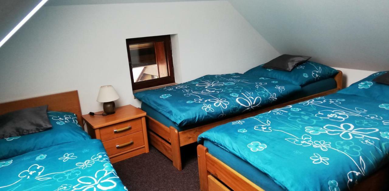 Apartmany U Jirousu Rokytnice nad Jizerou Eksteriør billede